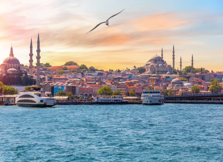 turkey